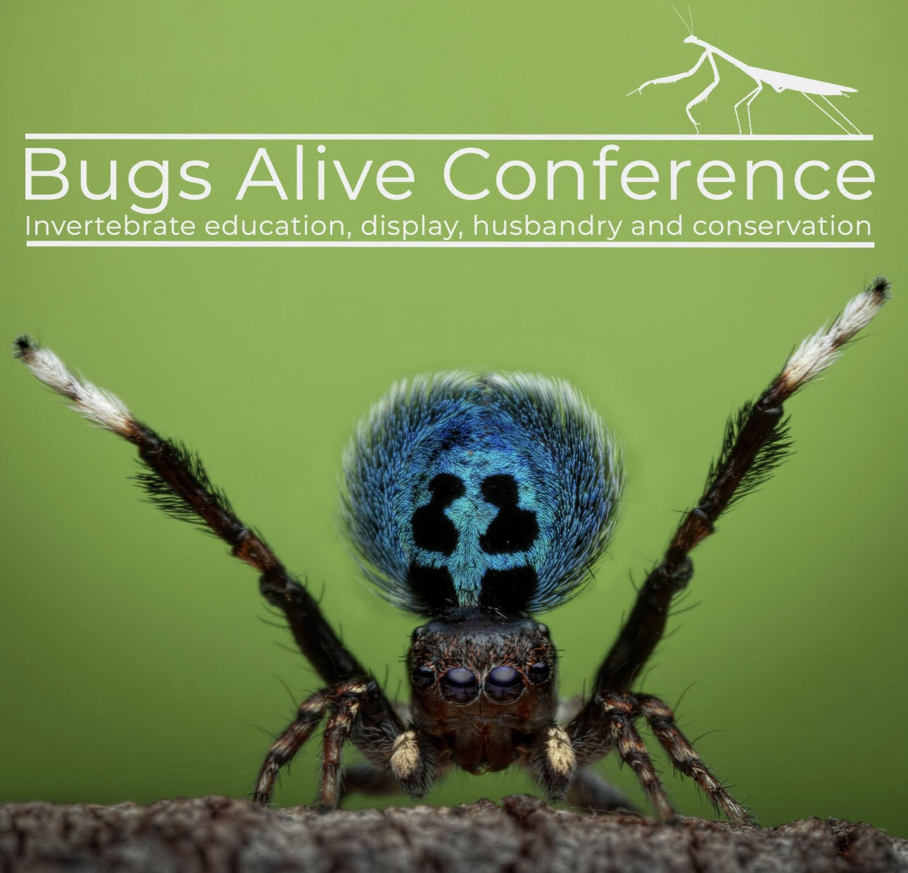 Bugs Alive Conference 2024